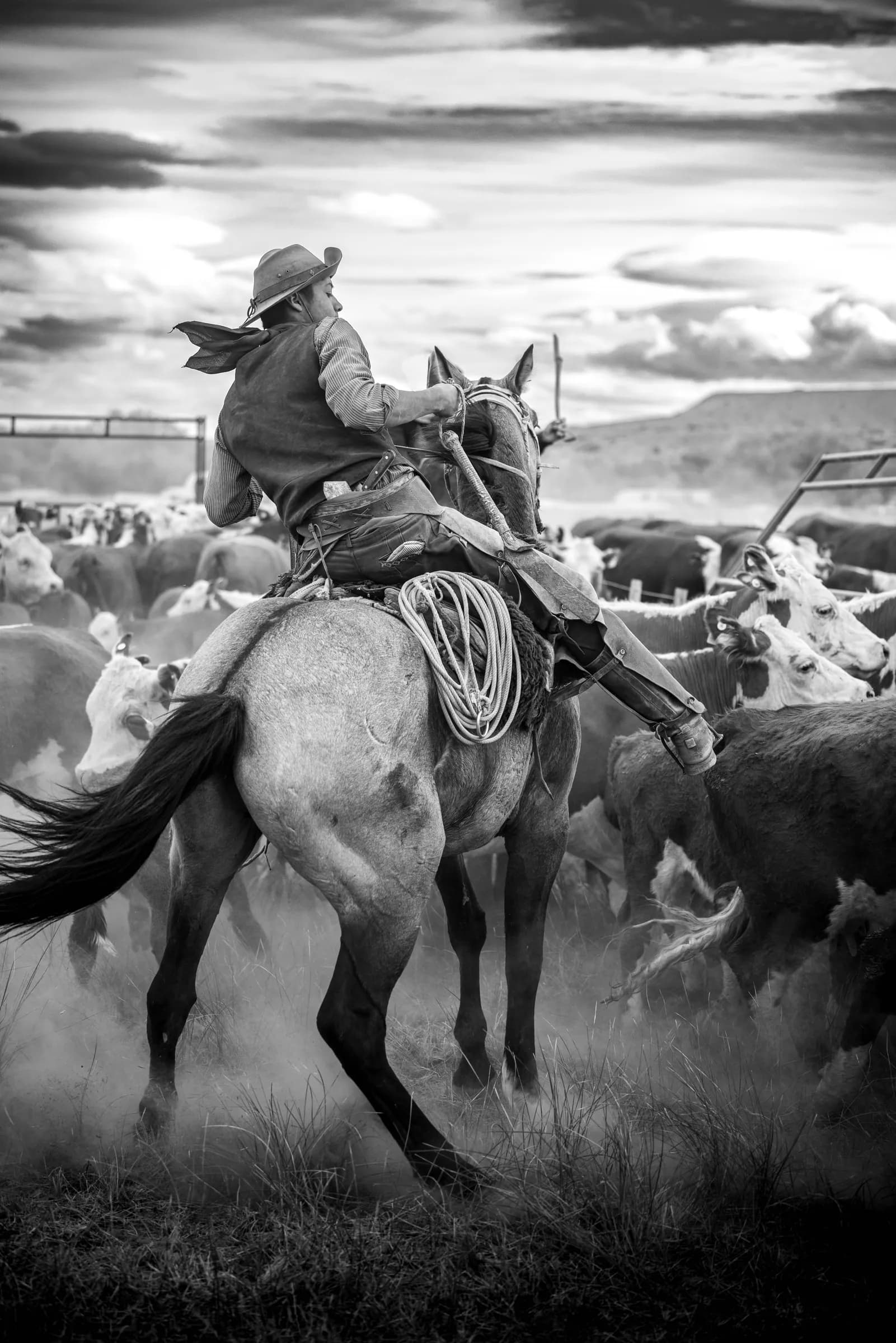 Un jinete entre la hacienda, en la marcación